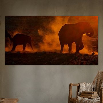 Elefanten bei Sonnenuntergang