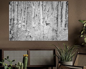 Ree in winters bos (zwart wit) van Martzen Fotografie