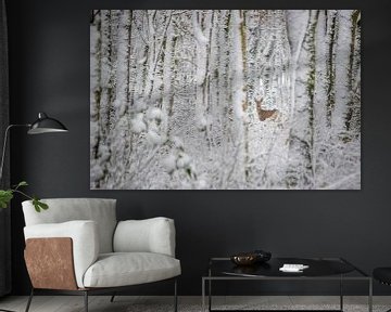 Ree in winters bos (kleur) van Martzen Fotografie