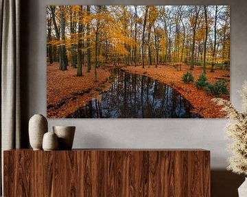 River through autumn van Mario Visser