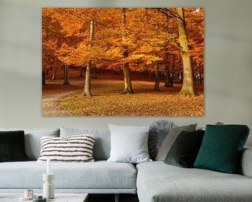autumn by Heinz Grates