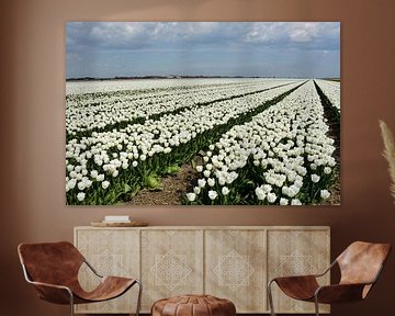 BLOEMBOLLENVELDEN/FLOWERING BULBS FIELDS van Roelof Touw