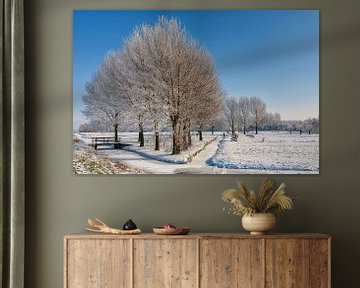 Winter landschap  van Bram van Broekhoven