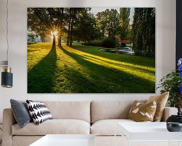 Zonnestralen in Park Valkenberg von JPWFoto