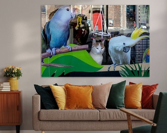 Aperçu de la chambre