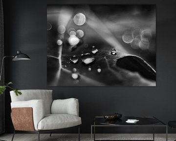 Droplets reflection by erik boer