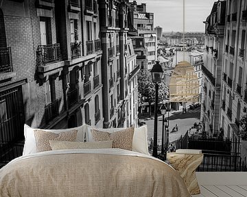 Montmartre at its finest by Emil Golshani