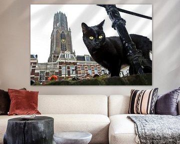 Cat with Dom tower, Utrecht
