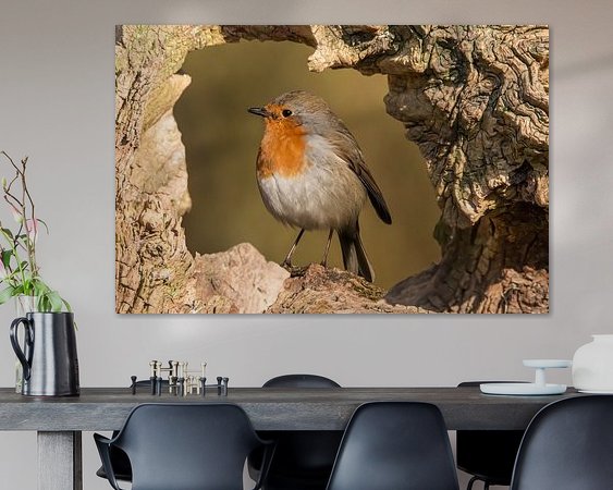 Aperçu de la chambre