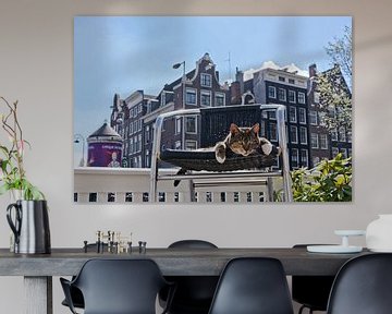 Pubcat d'Amsterdam sur Robert van Willigenburg