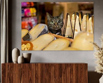 Shopcat cheesestore, Amsterdam by Robert van Willigenburg
