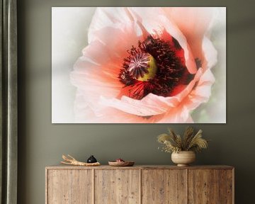 pink poppy sur Yvonne Blokland