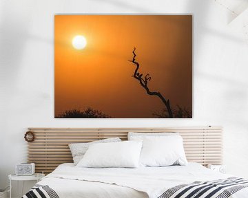African Sunset van Thomas Bartelds