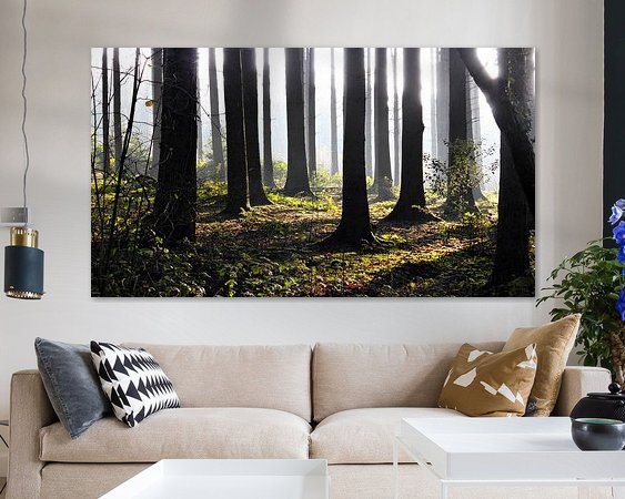 Voorbeeld van het werk in een kamer