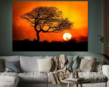 Afrikaanse zonsondergang van Edwin Mooijaart
