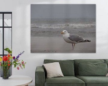 Stormmeeuw in de storm van Be-eR fotografeert