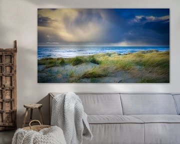 dunes in the Netherlands by eric van der eijk