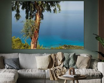 De Ionische zee met Eucalyptus boom, Lefkas van Sven Wildschut