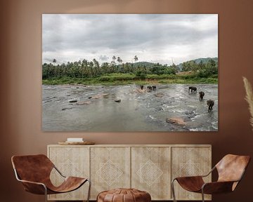 Elephants in Sri Lanka by Roland de Zeeuw fotografie