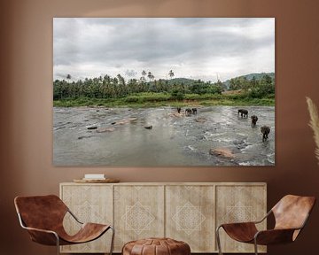 Elephants in Sri Lanka sur Roland de Zeeuw fotografie