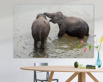 Elephants in Sri Lanka van Roland de Zeeuw fotografie