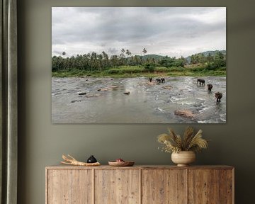 Elefanten in Sri Lanka von Roland de Zeeuw fotografie