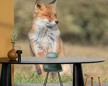 Red Fox by Lisa Antoinette Photography