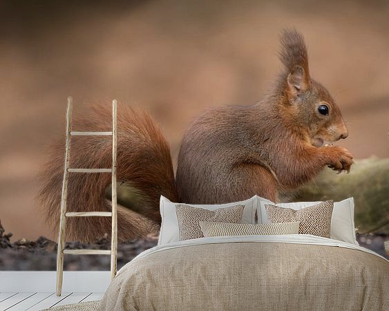Voorbeeld van het werk in een kamer