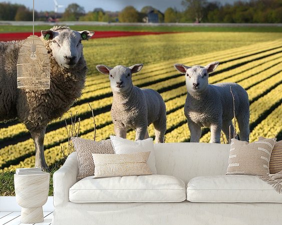 Voorbeeld van het werk in een kamer