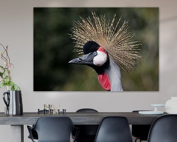Portret kroonkraanvogel von W J Kok