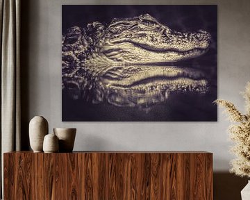 Alligator in rust.