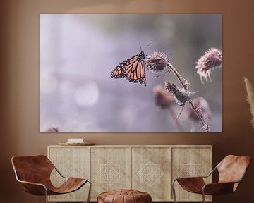 Monarch butterfly on thistle von Mark Zanderink