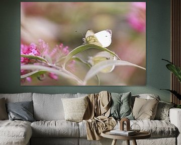 White butterfly by Mark Zanderink