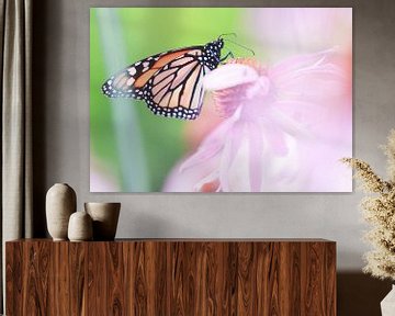Monarch butterfly sur Mark Zanderink