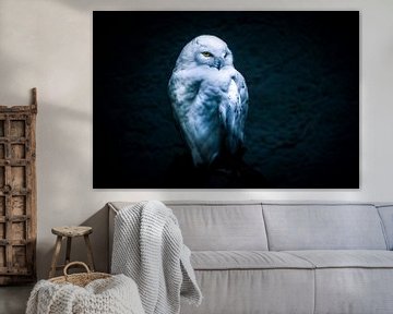 Snow owl von Mark Zanderink