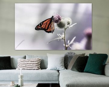 Monarch butterfly on thistle van Mark Zanderink