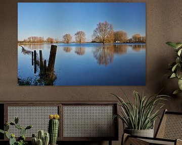 IJssel Uiterwaarden. von Sara in t Veld Fotografie