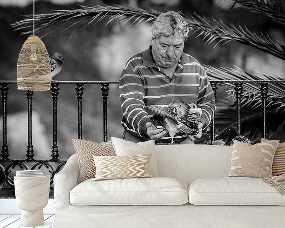 Aperçu de la chambre