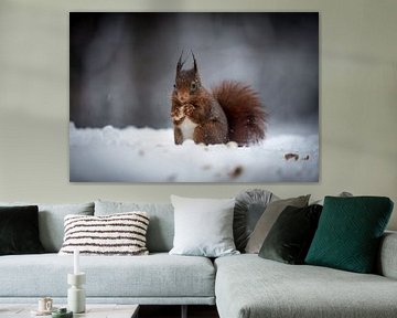 Squirrel in the snow van Mark Zanderink