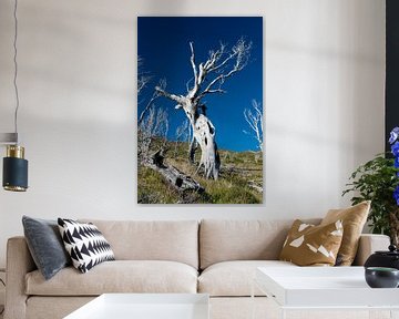 Der erschrockener Baum von Gerry van Roosmalen
