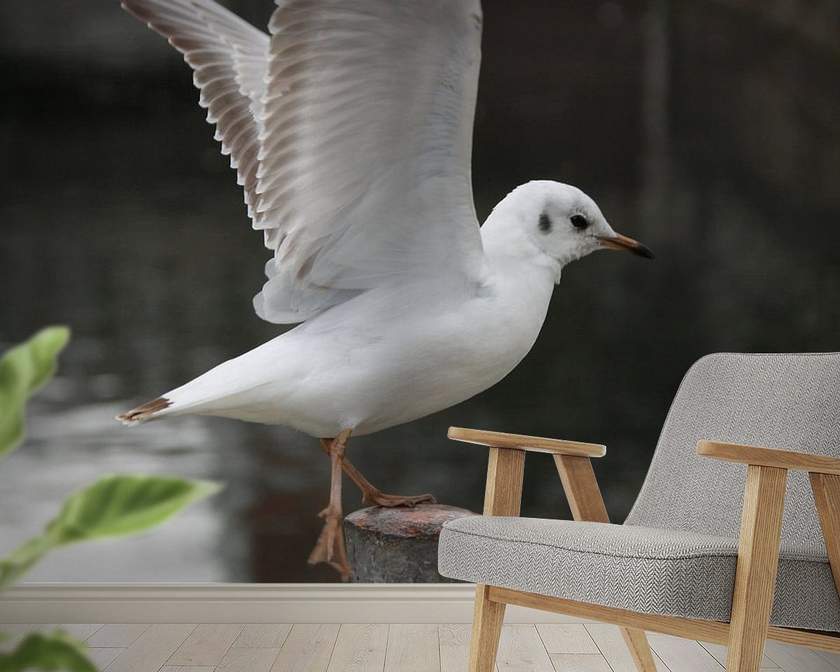 Raumvorschau
