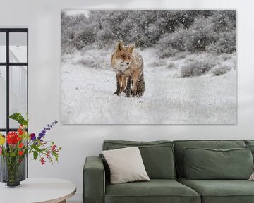 Fuchs in einer Winterlandschaft