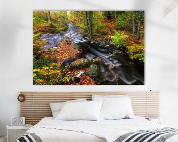 Fast flowing water in autumn forest by Karla Leeftink