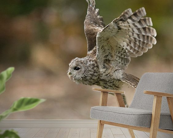 Aperçu de la chambre