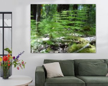 Optische Täuschung von Christopher Schellen