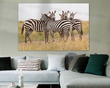 Africa | Zebra's on the Savanne 2 - Africa Kenya Masai Mara by Servan Ott