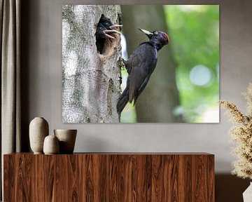 Black Woodpecker von Marcel van Os