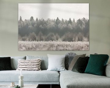 Natuur | Winter landschap - bossen Estland van Servan Ott