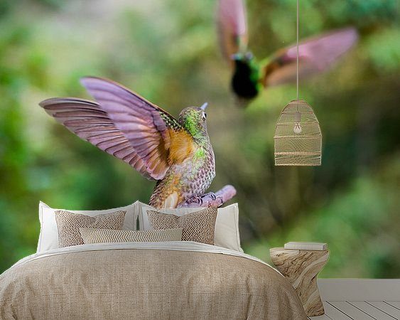 Aperçu de la chambre