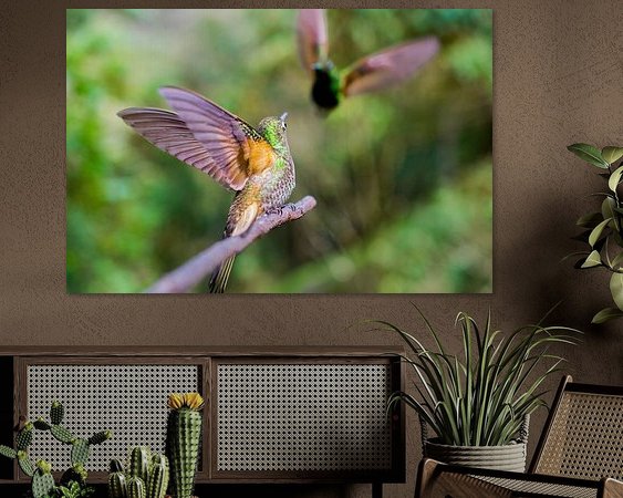 Aperçu de la chambre